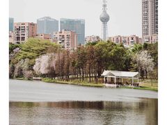 -文华公园(禅城区)