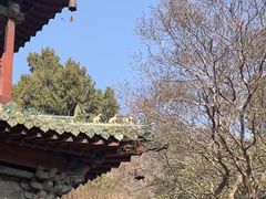 -报恩寺(平武县)