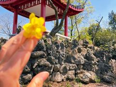 -九华山公园