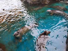 景点-华夏文旅海洋公园