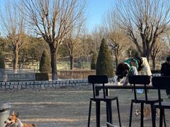 -小意思咖啡店(草桥店)