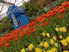 -南宫五洲植物乐园