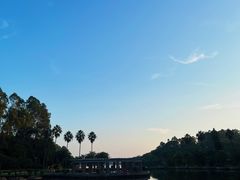 -南国桃园旅游度假区