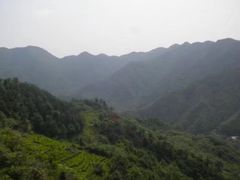 -四明山国家森林公园
