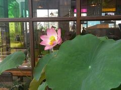 -听香·678茶铺(猛追湾店)