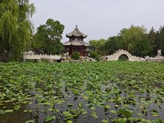 -莲池书院博物馆