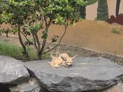 -杭州少年儿童公园