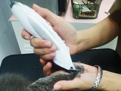 -爱洗澡的猫(天河路店)