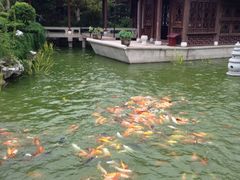 iphone_upload_pic-檀园