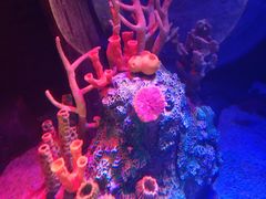 -沈阳海洋探索中心