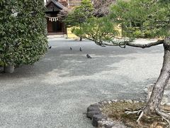 -水前寺成趣园