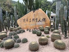 -深圳仙湖植物园