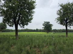 -汉长安城未央宫国家考古遗址公园