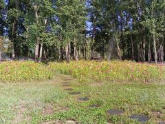 -野鸭湖国家湿地公园