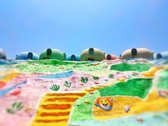 -漳州滨海火山岛自然生态风景区