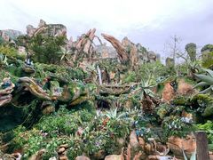 -奥兰多迪士尼动物王国乐园