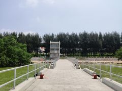 -宝安西湾红树林湿地公园