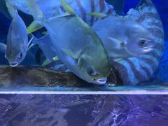 -多彩贵州城极地海洋世界