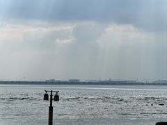 -观潮胜地公园