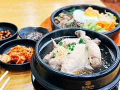 -高社长参鸡汤(高丽街店)
