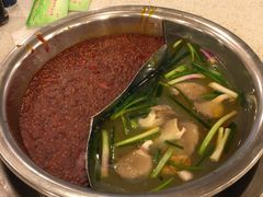 -朱氏胖子烂火锅(洪崖洞店)