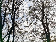 -鼓岭旅游度假区