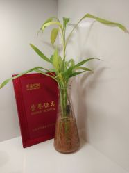 -晶奕空间专业脱毛连锁机构