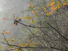 -刘伯温故里景区百丈漈