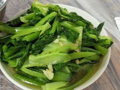 -食神又名厕所兔