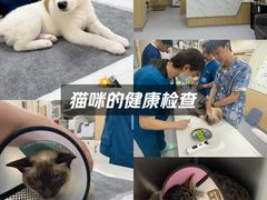 -康成宠物医院24H·CT·核磁共振