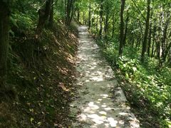 -山王坪喀斯特国家生态公园