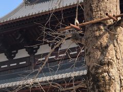 -径山寺