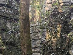 -梭布垭石林景区