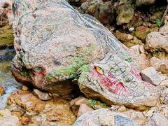 -南海湾森林生态园