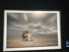 -罗红摄影艺术馆