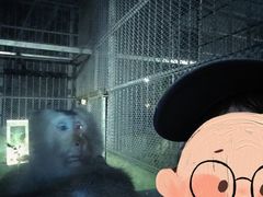-东莞香市动物园