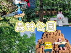 -山东八大碗山东老字号