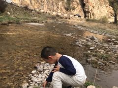 -芦芽山旅游度假区