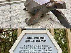 -广东惠东海龟国家级自然保护区