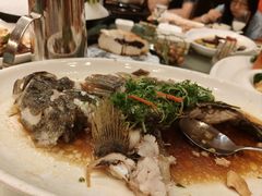 -新世纪大酒楼·30年南海菜