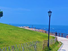 -小麦岛公园