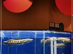 水产区-望蓉城·古法酸菜鱼(世纪汇店)