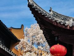 -龙华寺
