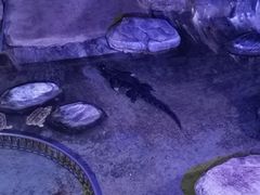 -蓬莱欧乐堡海洋极地世界