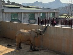 -西霞口神雕山野生动物世界