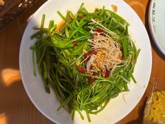 -菌自由丨野生菌火锅特色庭院餐厅(丽江古城店)