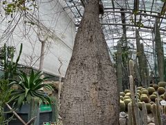 -南山植物园