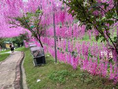 -求水山公园