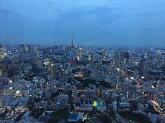 -六本木新城展望台(东京城市景观)