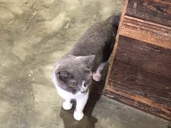 -MIKAKU(万达广场上海宝山店)